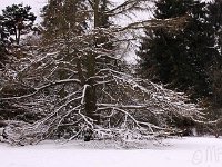 Kalm20130119 Park 1266