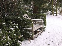 Kalm20130119 Park 1335