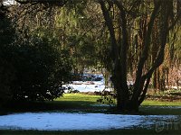 Park 2015 02 07 3061