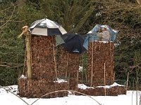 Winterschutz 2015 02 07 3184