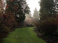 Kalmthout 2016 01 23 9003