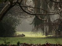 Kalmthout 2016 01 23 9052