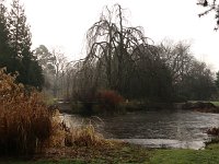 Kalmthout 2016 01 23 9057