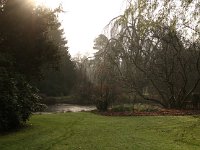 Kalmthout 2016 01 23 9061