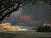Kalmthout 2016 01 23 9125