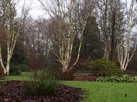 Kalmthout 2016 01 23 9184