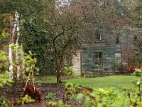 Kalmthout 2016 01 23 9199