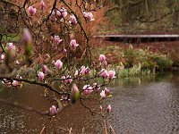 Kalm20140322 6991-MagSteg