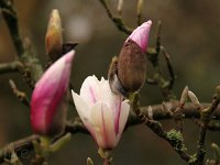 Kalm20140322 7000-MagWechsel