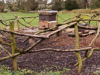 Kalm20140322 7018-Bienen