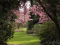 Kalm20140322 7055-durchblick