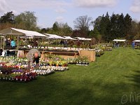KalmthoutPlantendag 7730-Uebersicht