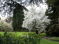 Kalmthout 2016 04 17 9697