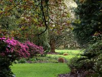 Kalmthout 2016 04 17 9705