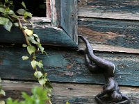 Kalmthout 2016 04 17 9708