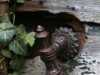Kalmthout 2016 04 17 9709