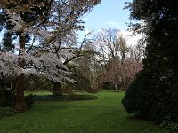 Kalmthout 2016 04 17 9720