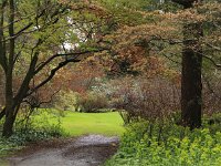 Kalmthout 2016 04 17 9723