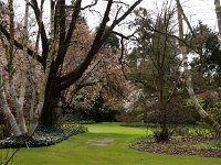 Kalmthout 2016 04 17 9729
