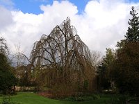 Kalmthout 2016 04 17 9739