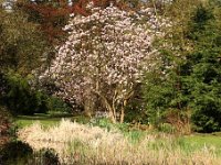 Kalmthout 2016 04 17 9746