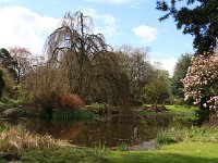 Kalmthout 2016 04 17 9749