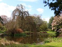 Kalmthout 2016 04 17 9750