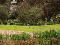 Kalmthout 2016 04 17 9752