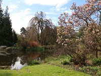Kalmthout 2016 04 17 9755