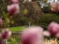 Kalmthout 2016 04 17 9777