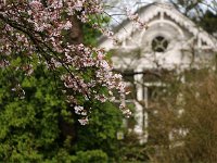Kalmthout 2016 04 17 9779