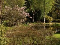 Kalmthout 2016 04 17 9781