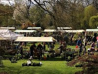 Kalmthout 2016 04 17 9782