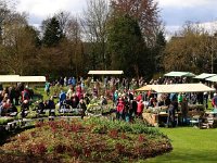 Kalmthout 2016 04 17 9783