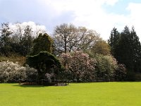 Kalmthout 2016 04 17 9798